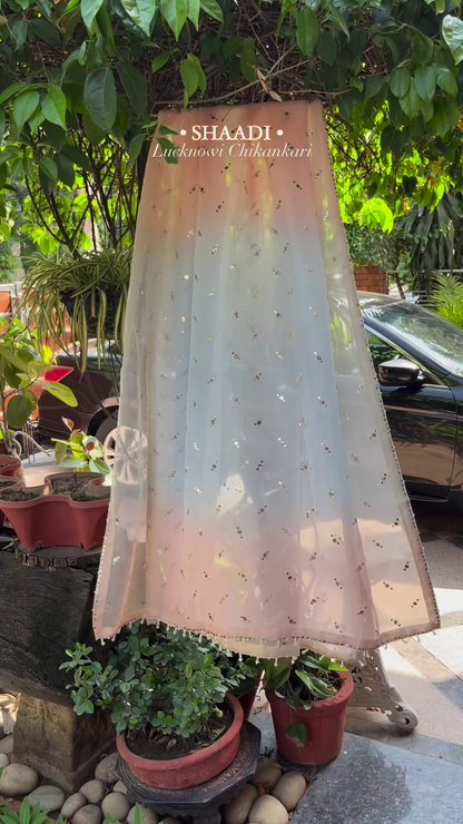 Peach Organza Lucknowi Chikankari Kurta with Hand-Embroidered Floral Motifs and Sequin Accents